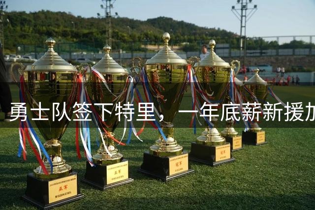 勇士队签下特里，一年底薪新援加盟